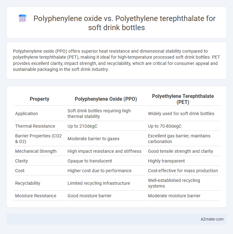 Polyphenylene oxide vs. Polyethylene terephthalate for soft drink bottles - What is The Difference?
