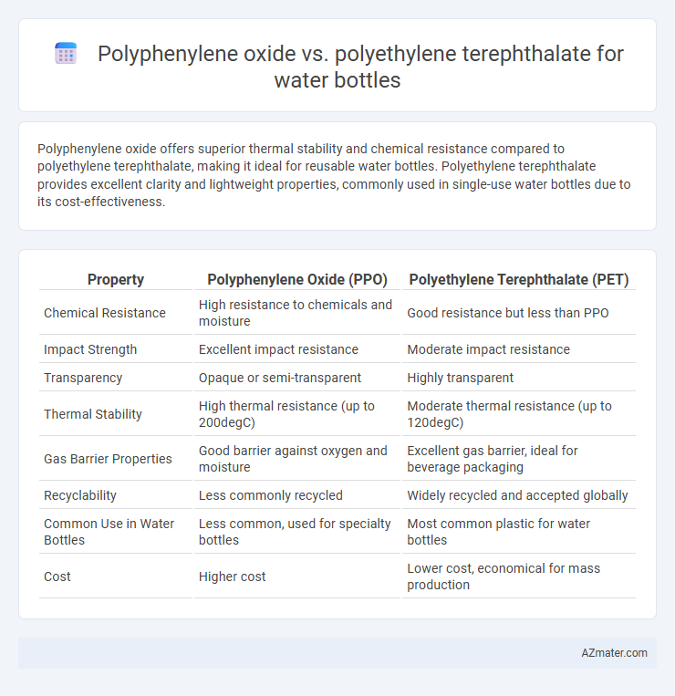Polyphenylene oxide vs. polyethylene terephthalate for water bottles - What is The Difference?