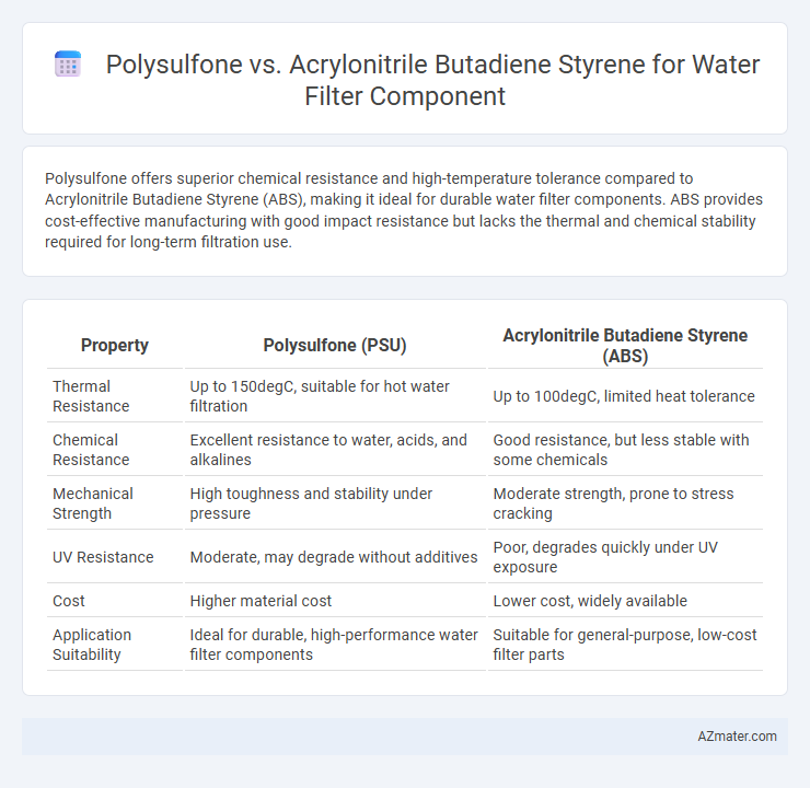 Polysulfone vs. Acrylonitrile Butadiene Styrene for Water Filter Component - What is The Difference?