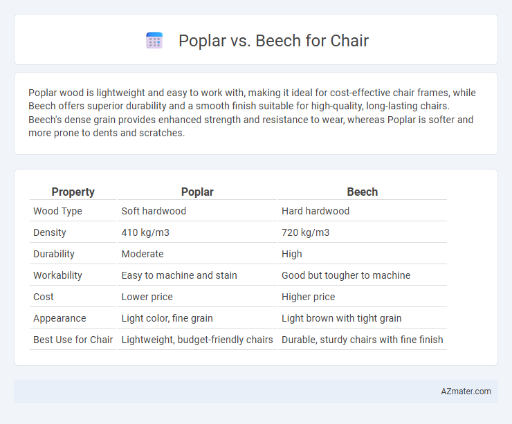 Poplar vs. Beech for Chair - What is The Difference?