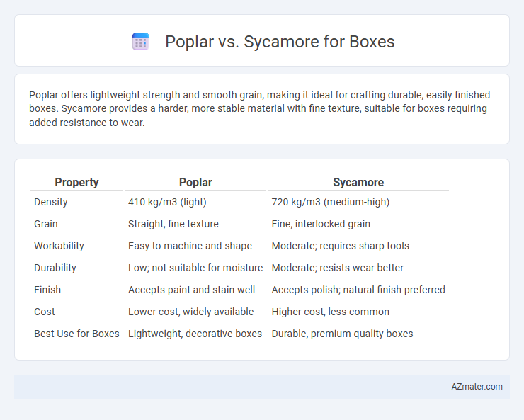 Poplar vs. Sycamore for Boxes - What is The Difference?