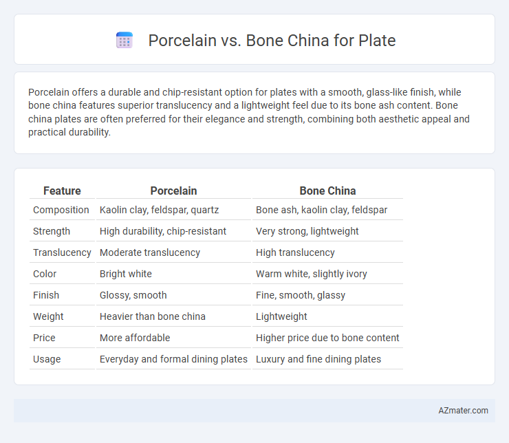 Porcelain vs. Bone China for Plate - What is The Difference?