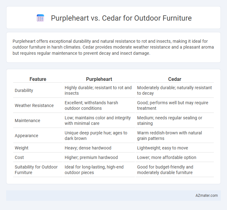 Purpleheart vs. Cedar for Outdoor Furniture - What is The Difference?
