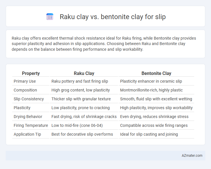 Raku clay vs. bentonite clay for slip - What is The Difference?