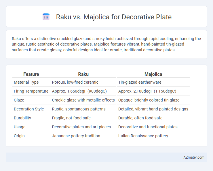 Raku vs. Majolica for Decorative Plate - What is The Difference?
