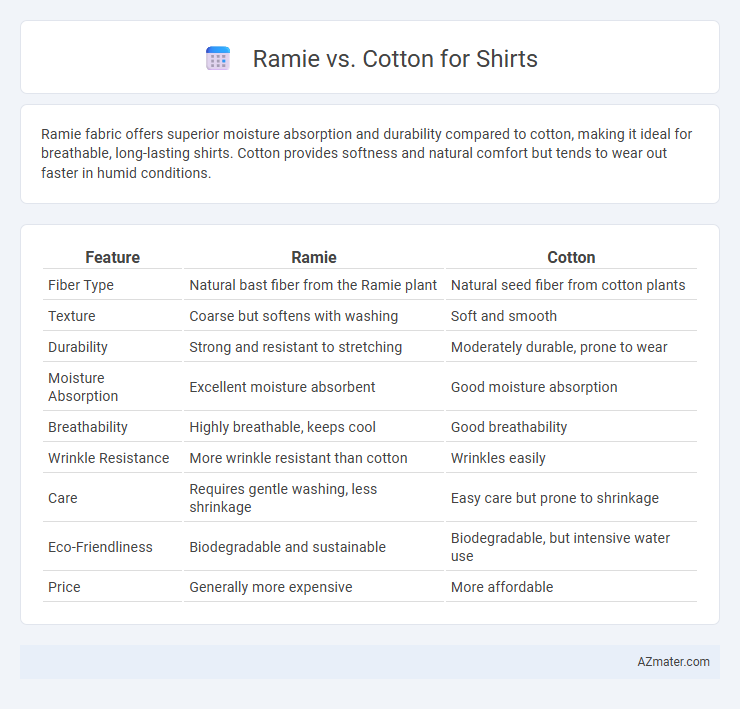 Ramie vs. Cotton for Shirts - What is The Difference?