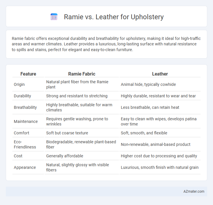Ramie vs. Leather for Upholstery - What is The Difference?