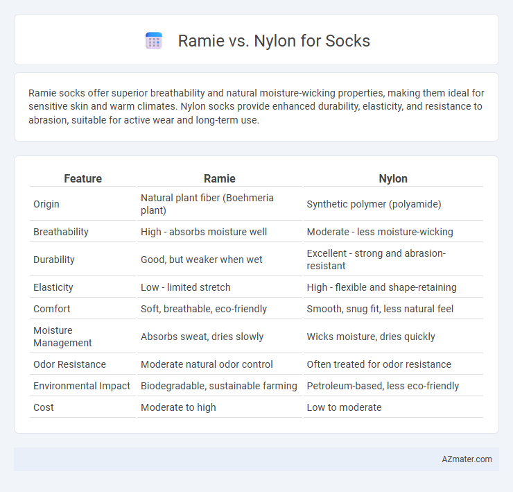 Ramie vs. Nylon for Socks - What is The Difference?