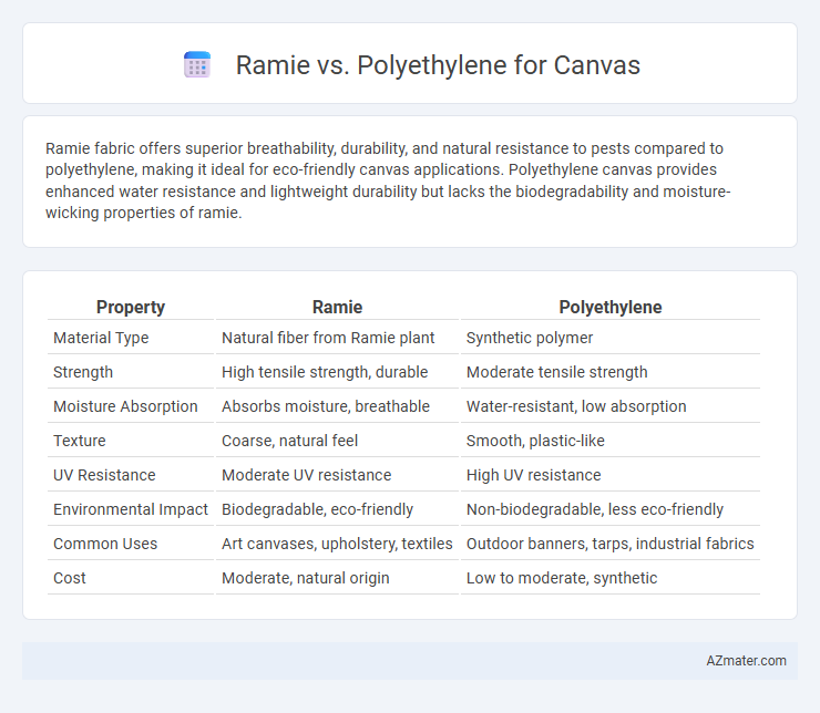 Ramie vs. Polyethylene for Canvas - What is The Difference?