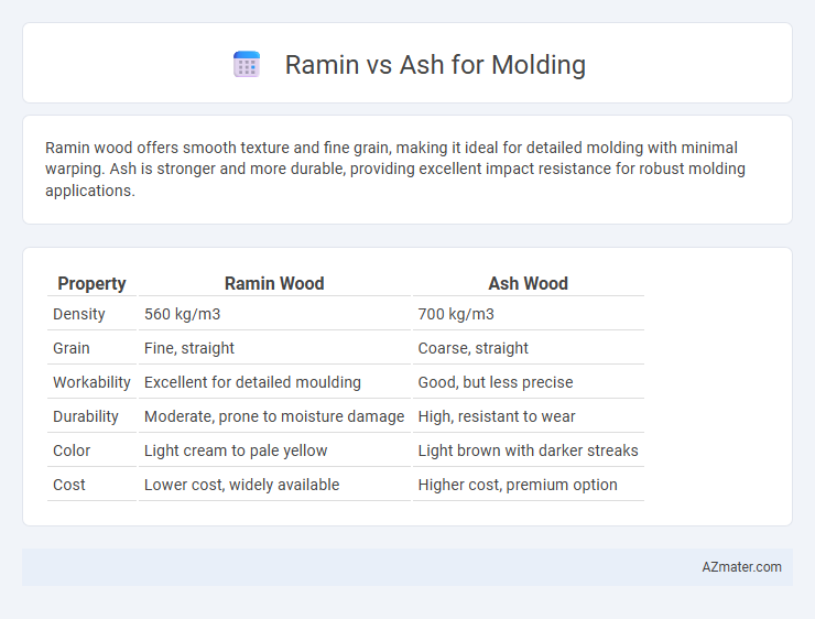 Ramin vs Ash for Molding - What is The Difference?