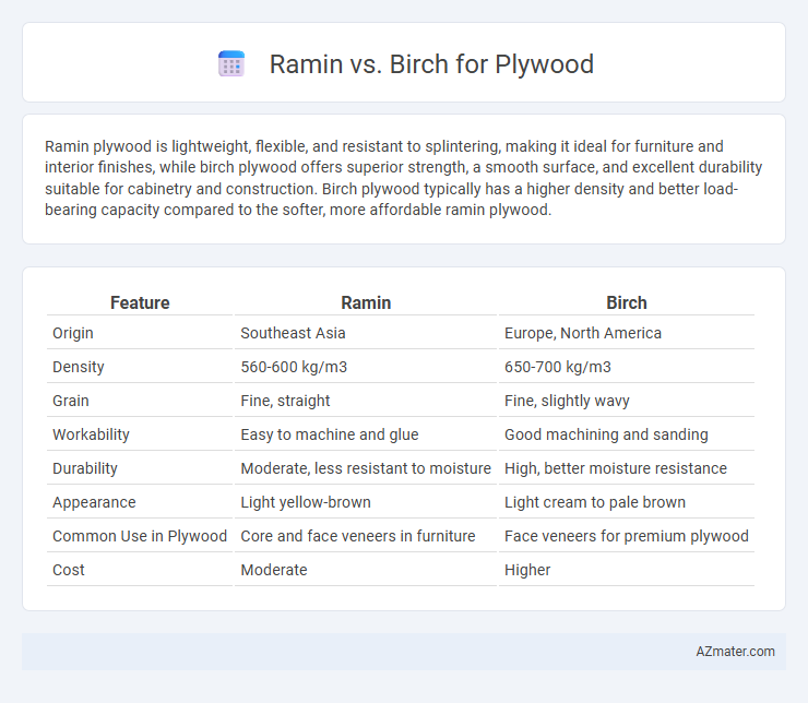 Ramin vs. Birch for Plywood - What is The Difference?