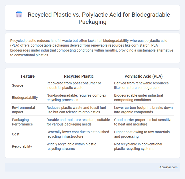 Recycled Plastic vs. Polylactic Acid for Biodegradable Packaging - What is The Difference?