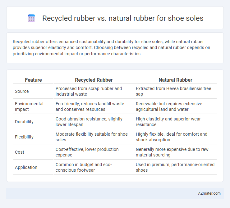 Recycled rubber vs. natural rubber for shoe soles - What is The Difference?
