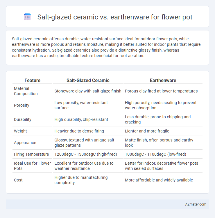 Salt-glazed ceramic vs. earthenware for flower pot - What is The Difference?