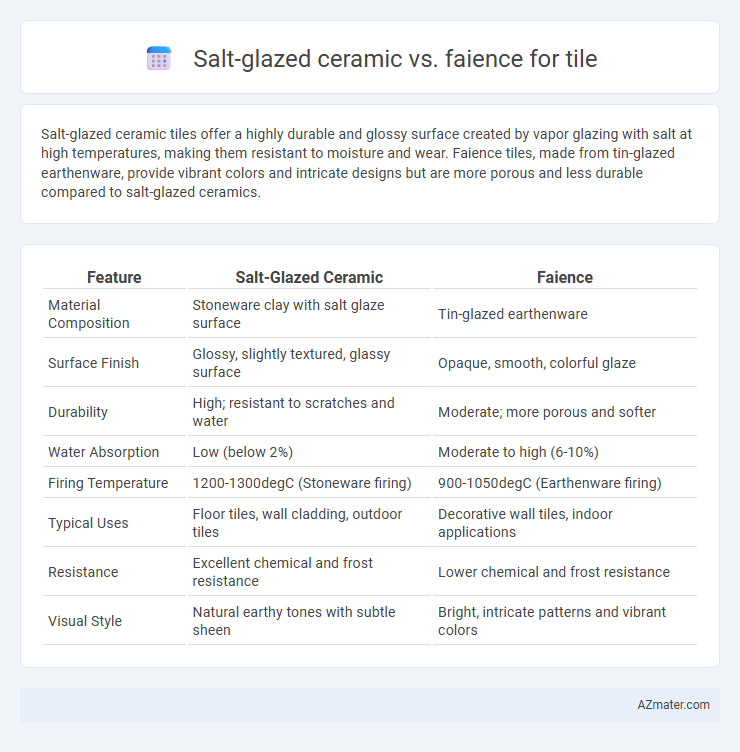 Salt-glazed ceramic vs. faience for tile - What is The Difference?