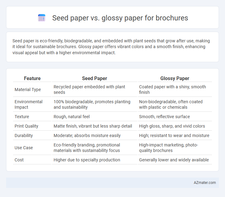 Seed paper vs. glossy paper for brochures - What is The Difference?