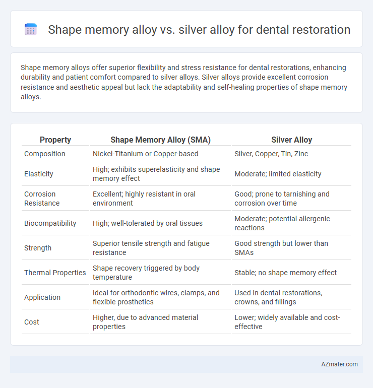 Shape memory alloy vs. silver alloy for dental restoration - What is The Difference?
