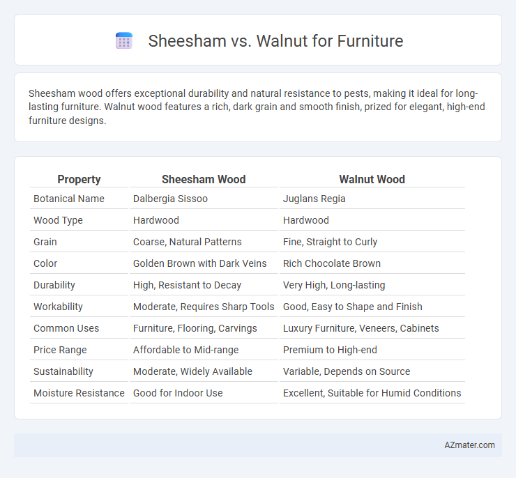 Sheesham vs. Walnut for Furniture - What is The Difference?