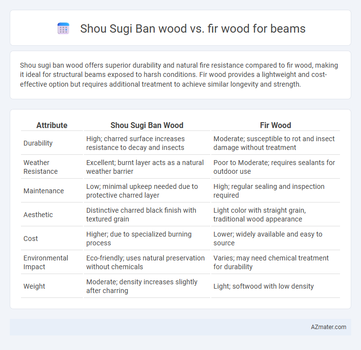 Shou Sugi Ban wood vs. fir wood for beams - What is The Difference?