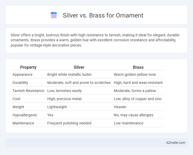 Silver vs. Brass for Ornament - What is The Difference?