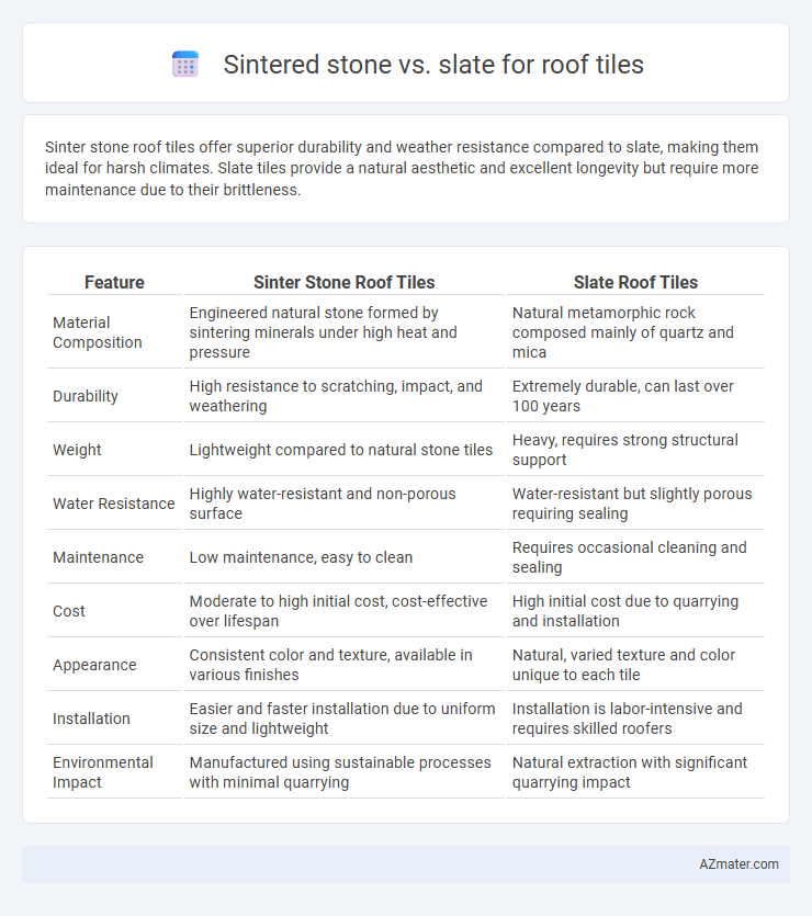 Sintered stone vs. slate for roof tiles - What is The Difference?