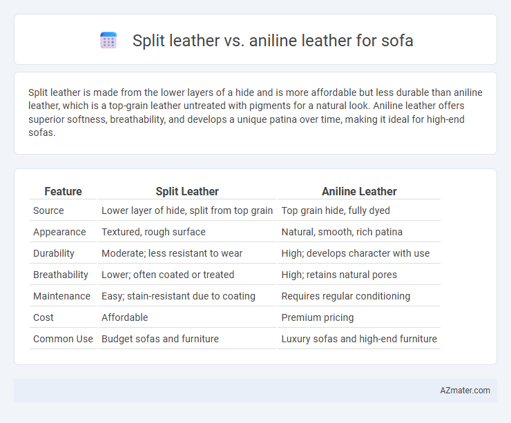 Split leather vs. aniline leather for sofa - What is The Difference?