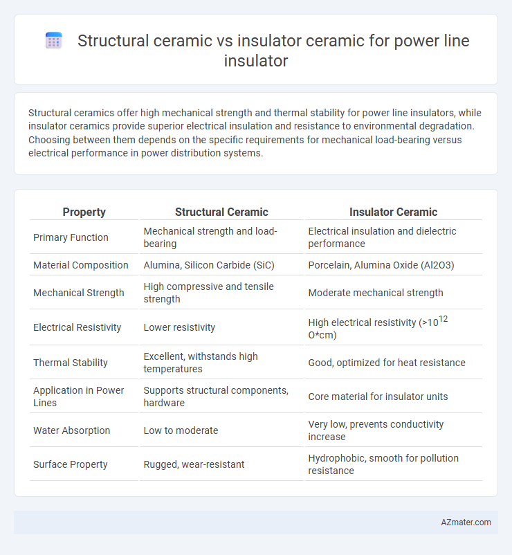 Structural ceramic vs insulator ceramic for power line insulator - What is The Difference?