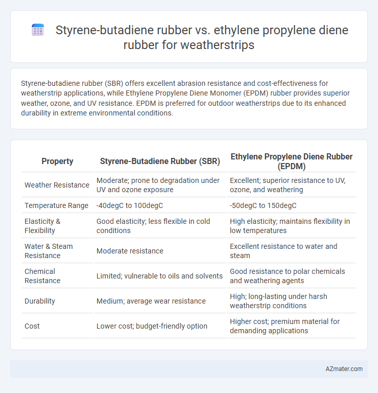 Styrene-butadiene rubber vs. ethylene propylene diene rubber for weatherstrips - What is The Difference?