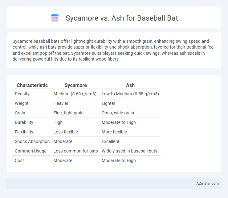 Sycamore vs. Ash for Baseball Bat - What is The Difference?