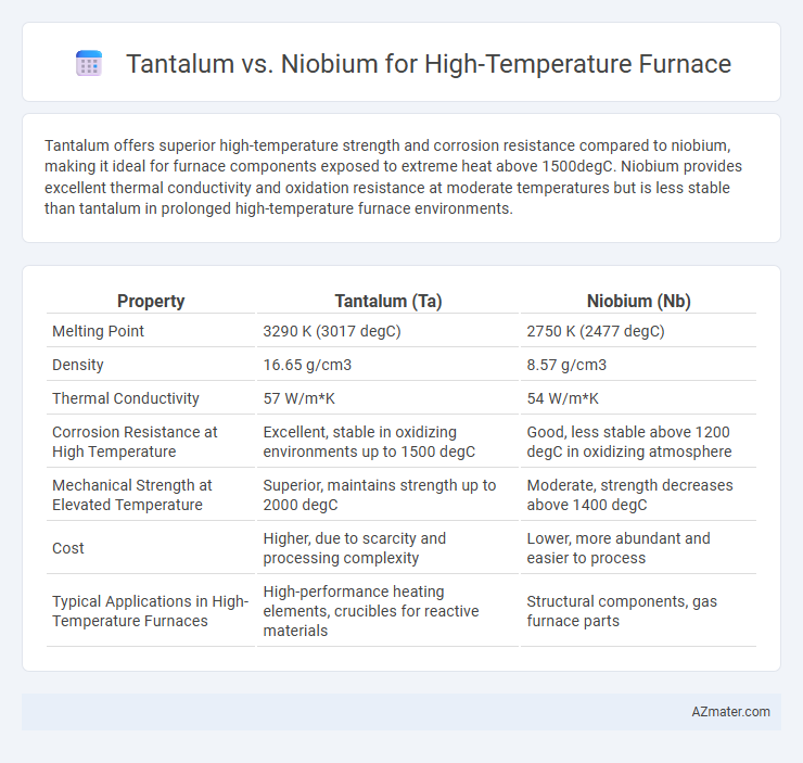 Tantalum vs. Niobium for High-Temperature Furnace - What is The Difference?