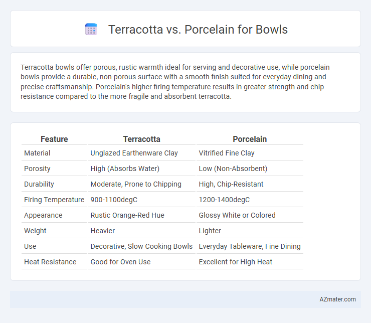 Terracotta vs. Porcelain for Bowls - What is The Difference?
