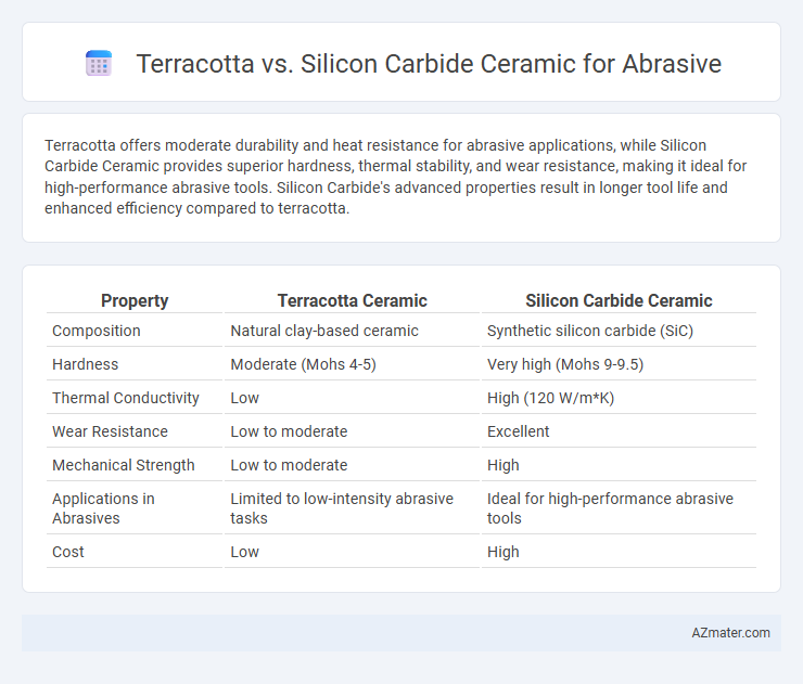 Terracotta vs. Silicon Carbide Ceramic for Abrasive - What is The Difference?