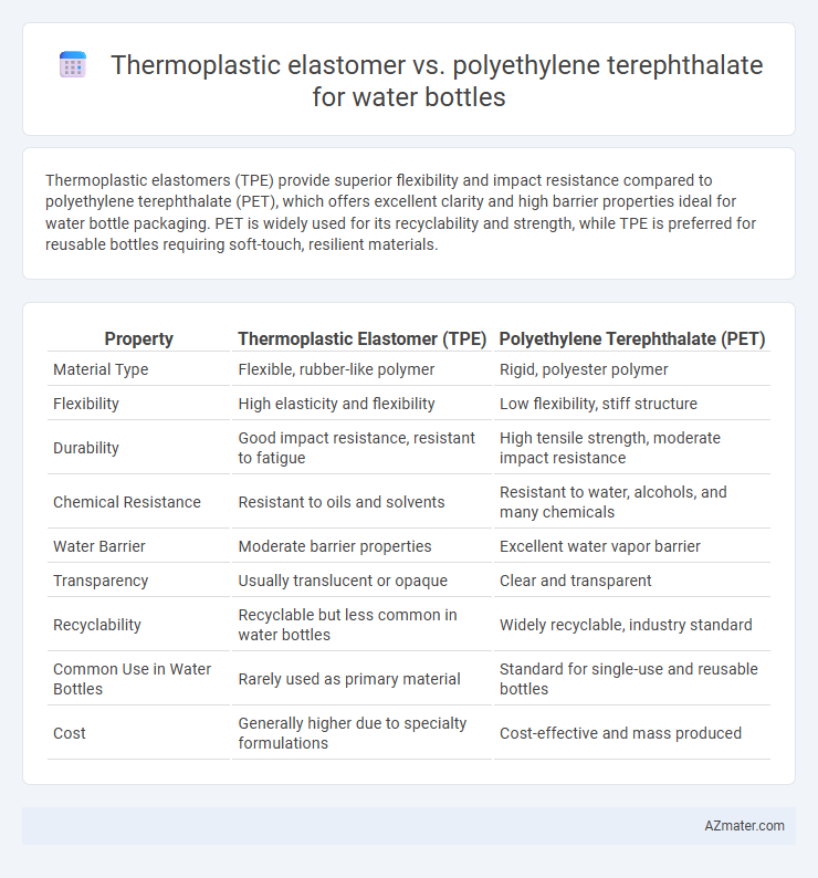 Thermoplastic elastomer vs. polyethylene terephthalate for water bottles - What is The Difference?