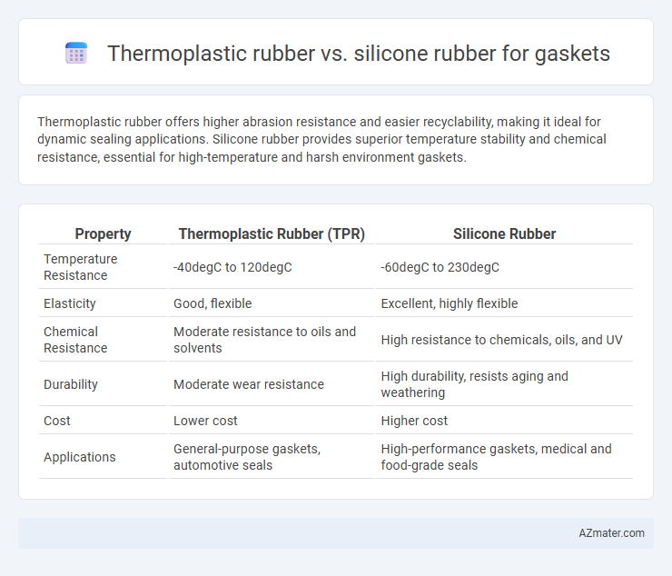 Thermoplastic rubber vs. silicone rubber for gaskets - What is The Difference?