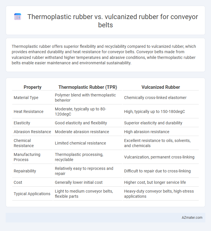 Thermoplastic rubber vs. vulcanized rubber for conveyor belts - What is The Difference?