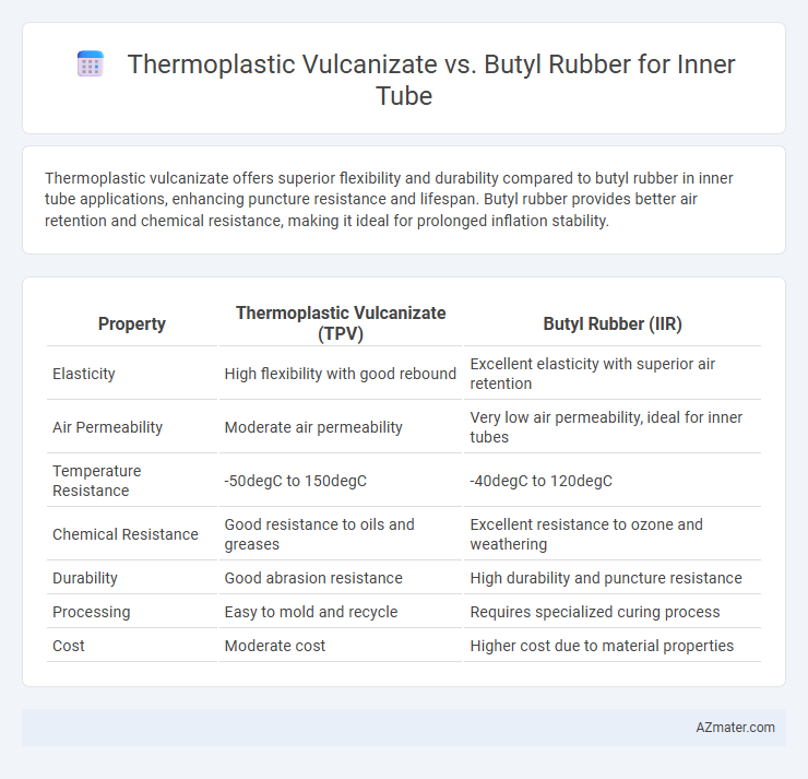 Thermoplastic Vulcanizate vs. Butyl Rubber for Inner Tube - What is The Difference?