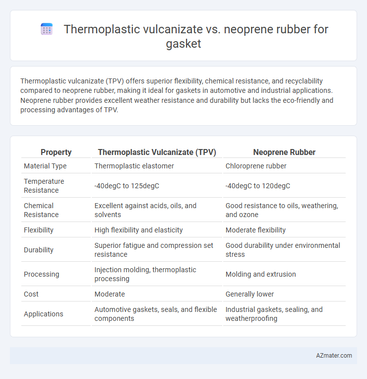 Thermoplastic vulcanizate vs. neoprene rubber for gasket - What is The Difference?