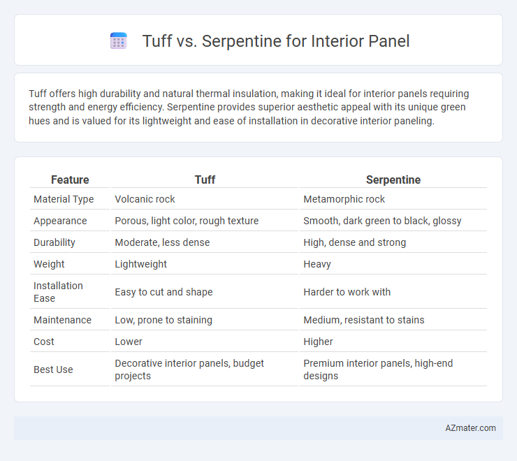 Tuff vs. Serpentine for Interior Panel - What is The Difference?