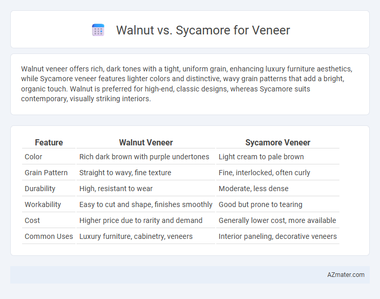 Walnut vs. Sycamore for Veneer - What is The Difference?