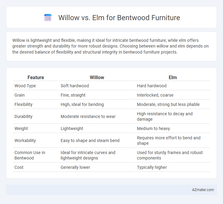 Willow vs. Elm for Bentwood Furniture - What is The Difference?