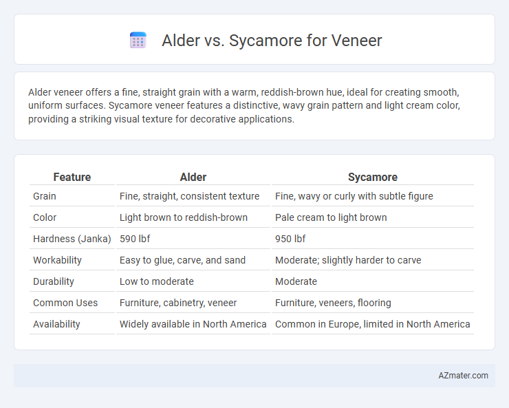 Alder vs. Sycamore for Veneer - What is The Difference?