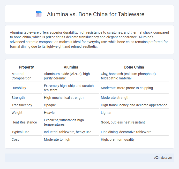 Alumina vs. Bone China for Tableware - What is The Difference?