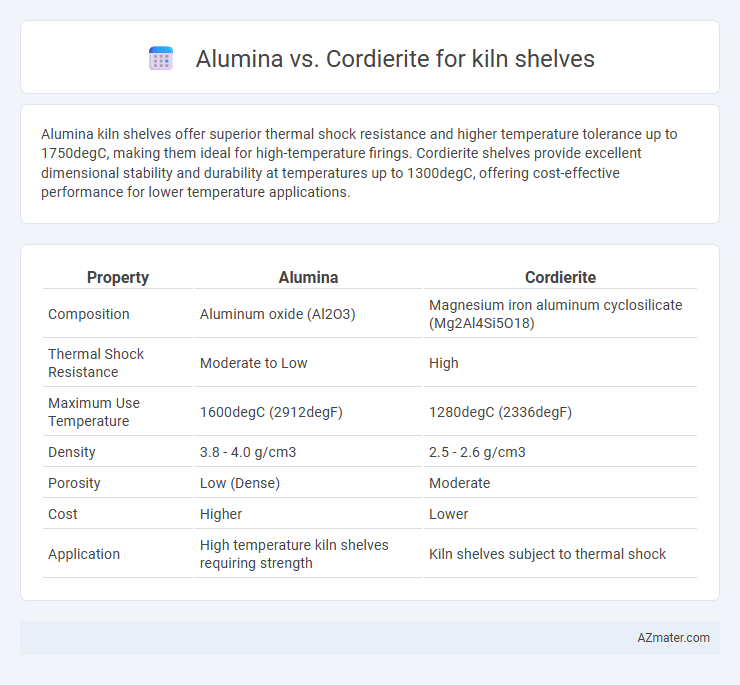 Alumina vs. Cordierite for kiln shelves - What is The Difference?