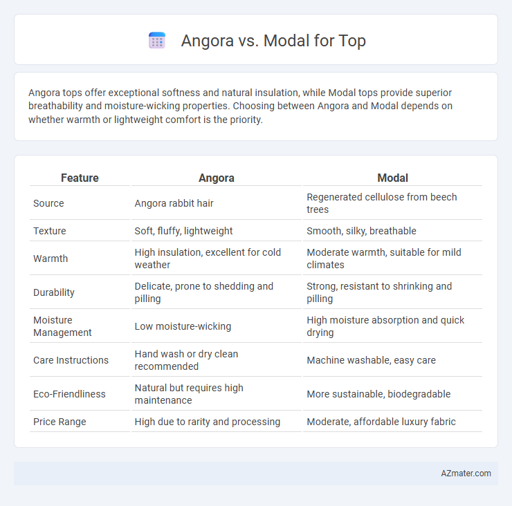 Angora vs. Modal for Top - What is The Difference?