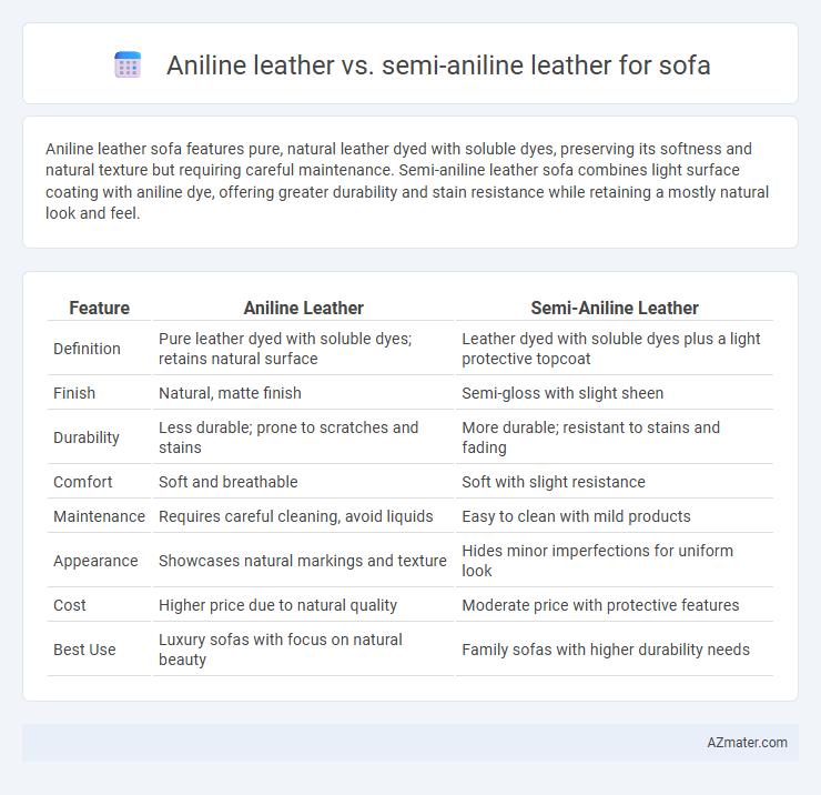 Aniline leather vs. semi-aniline leather for sofa - What is The Difference?