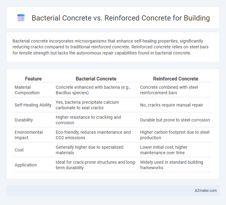 Bacterial Concrete vs. Reinforced Concrete for Building - What is The Difference?