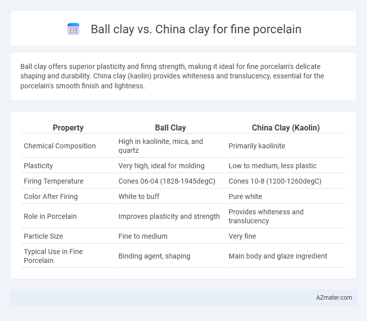 Ball clay vs. China clay for fine porcelain - What is The Difference?