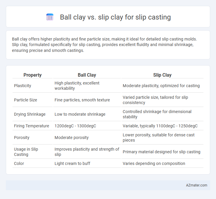 Ball clay vs. slip clay for slip casting - What is The Difference?