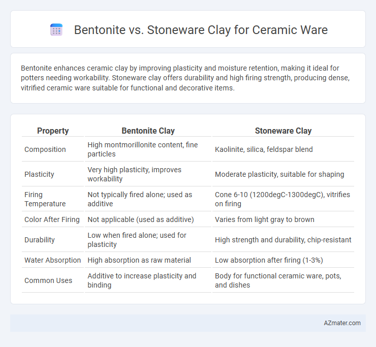 Bentonite vs. Stoneware Clay for Ceramic Ware - What is The Difference?