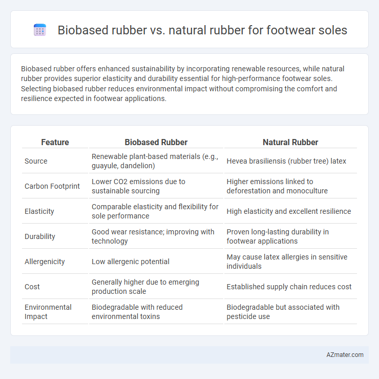Biobased rubber vs. natural rubber for footwear soles - What is The Difference?